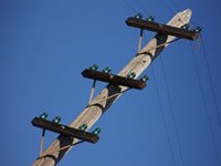 Phone Pole